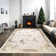 Monaco Series Abrstract Black/Gray/Ivory/Beige Area Rug