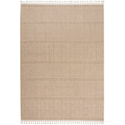 Striped Indoor Rug