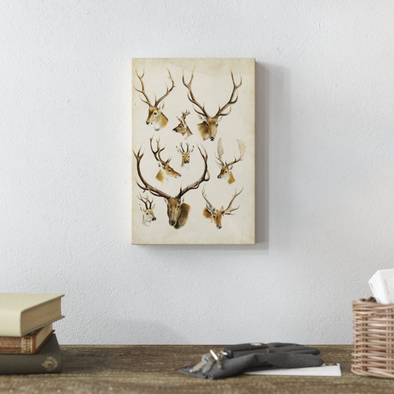 Western Animal Species II - Painting on Canvas, 30cm H x 20cm W, Wrapped Canvas