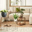Ensemble de 3 plantes gigognes Shiye