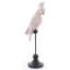 Canobbio Animals Decorative Object