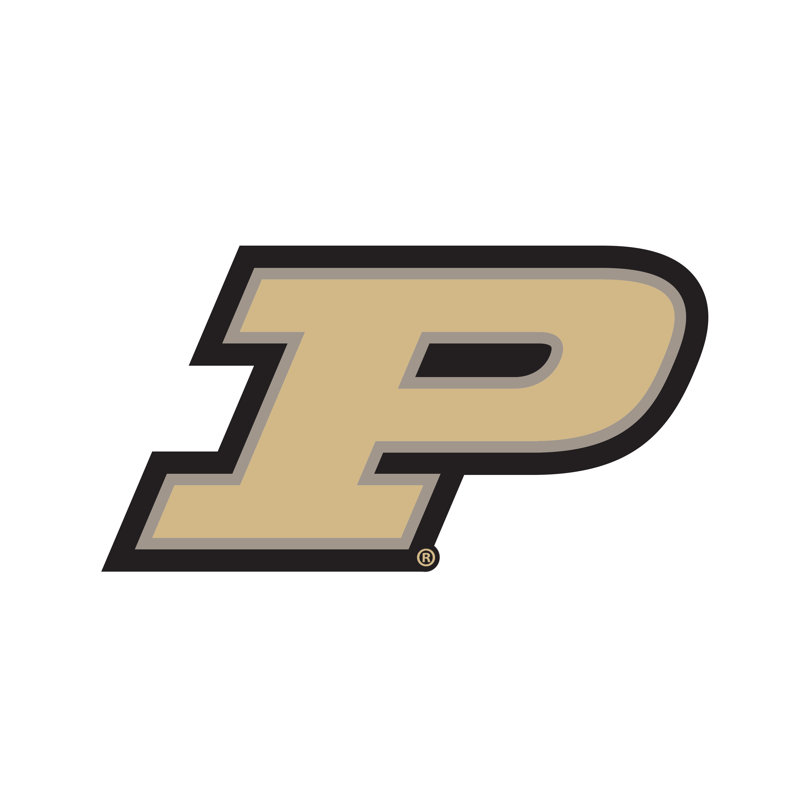 NCAA Modern Wall Decor, Purdue University