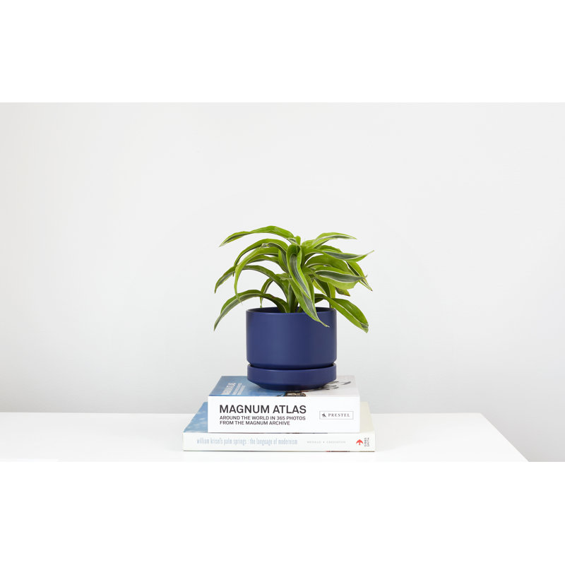 Pot à fleurs en céramique Byer, Bleu, H 4,25 po x l 5 po x P 5 po