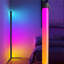 Bogoslav 125cm Black LED Novelty Floor Lamp with USB