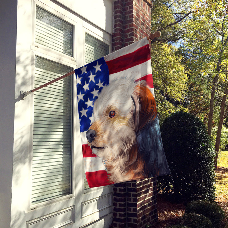 Polyester à 2 côtés 28 x 40 po drapeau maison, Chien bosniaque à poil dur