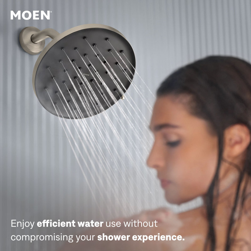 Full/Standard Handheld Shower Head, Brushed Nickel