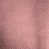 Rose est en rupture de stock
