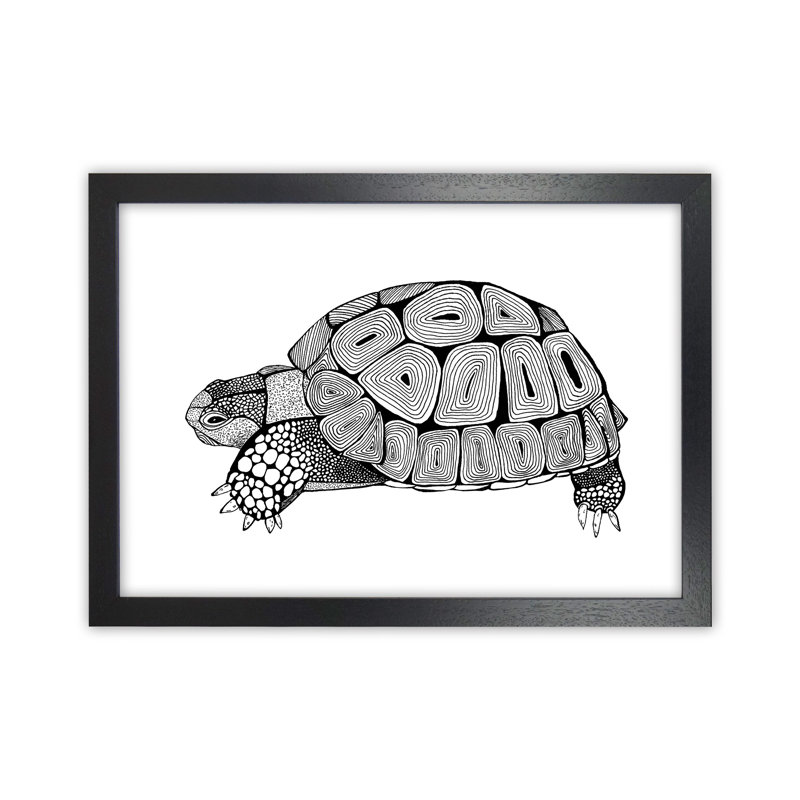 Tortoise by Carissa Tanton - Print, Black Framed, 64cm H x 88cm W x 3cm D