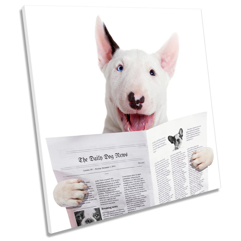Funny Bull Terrier Dog Newspaper Picture - Wrapped Canvas Print, 40.6cm H x 40.6cm W x 2cm D