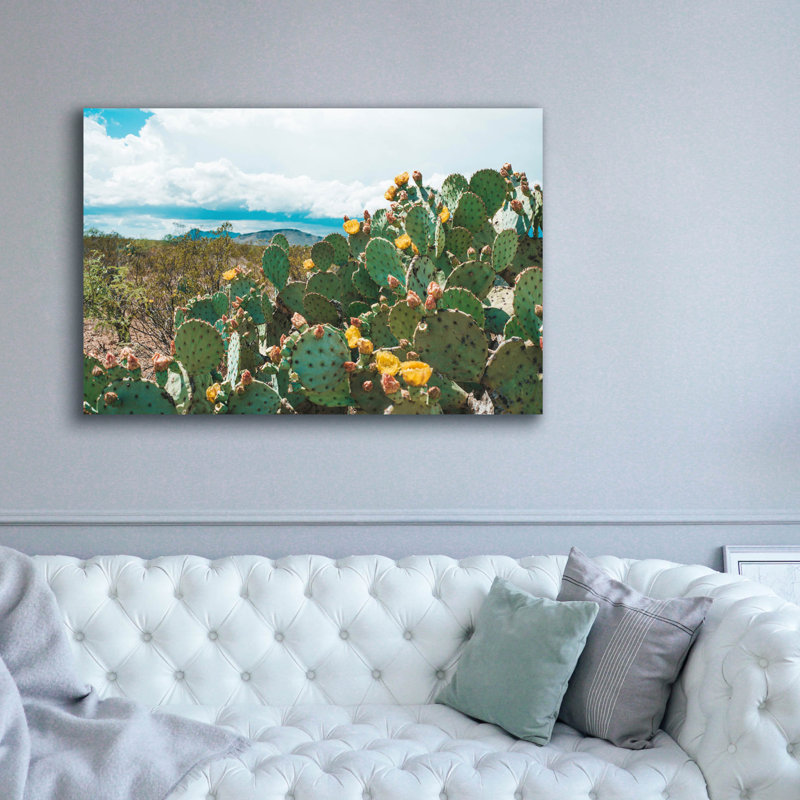  «Cactus Blooms In Big Bend» par Sonja Quintero, art mural sur toile, 60 po x 40 po, H 40 po x l 60 po