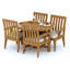 Caranas Outdoor 5 - Piece Teak Dining Set