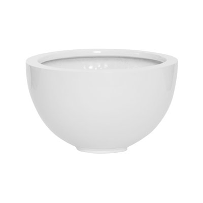 Peter M, Glossy White