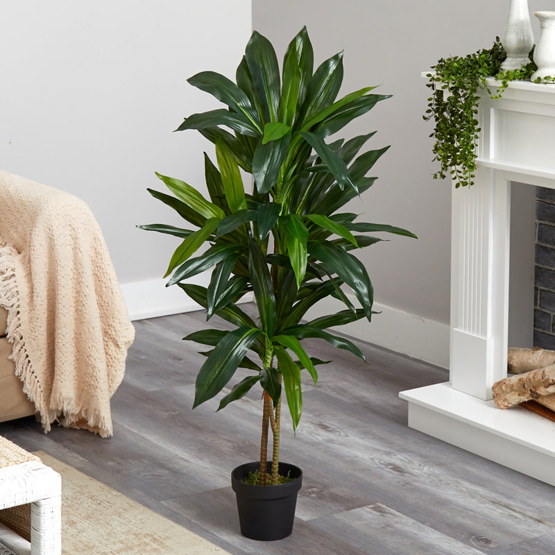Larson 48'' Faux Dracaena Plant in Planter