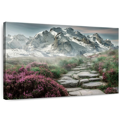 Alvord Scenic Snowy Mountain