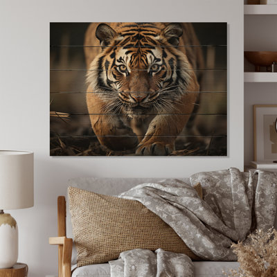 " Tiger Stripes Of Power I "