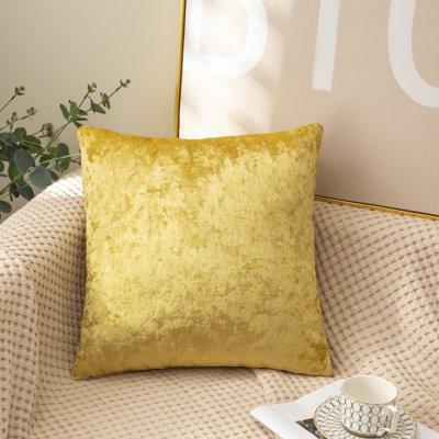 (Couvertures avec insertions) Ensemble de 2 coussins décoratifs en velours écrasé