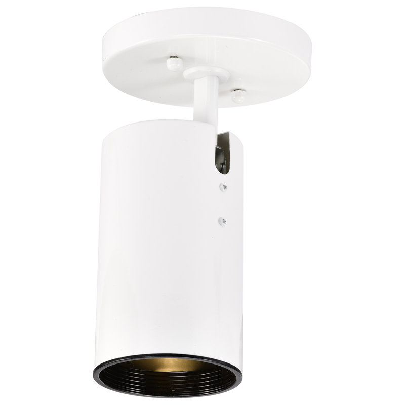 Plafonnier encastré cylindrique droit 1 lumière Barreto R20