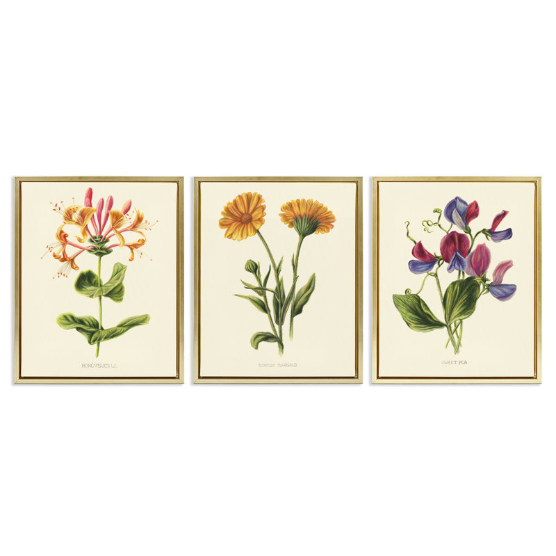 Ensemble de cadres flottants 3 pièces Vintage Flowering Plants, conception par Connie Resch, Cadre flottant métallique doré