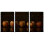 «Dark Apple Still Life», art de salle à manger, impression sur toile encadrée, 3 pièces-132209927-132209928