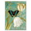"Jadaya White Tulips" par Color Bakery, impression sur toile tendue-20507372
