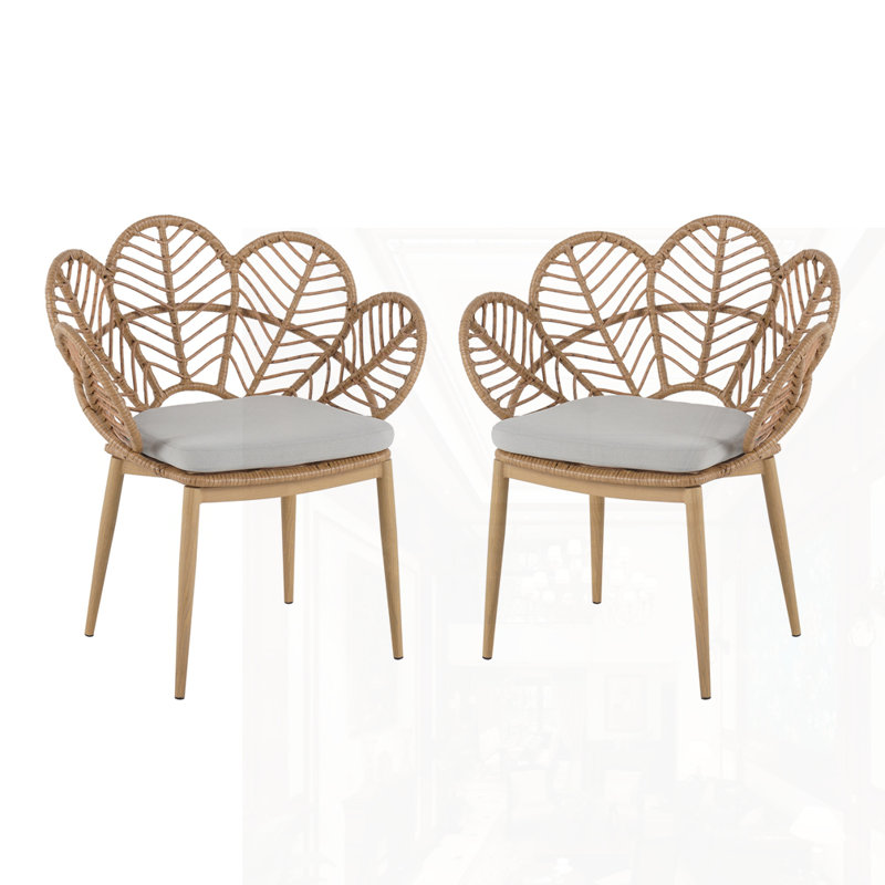 Outdoor Wicker Chair Set Of 2