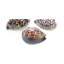 SeaTile 4" x 4" Natural Shell Bullnose Tile Trim in Tiger Spot