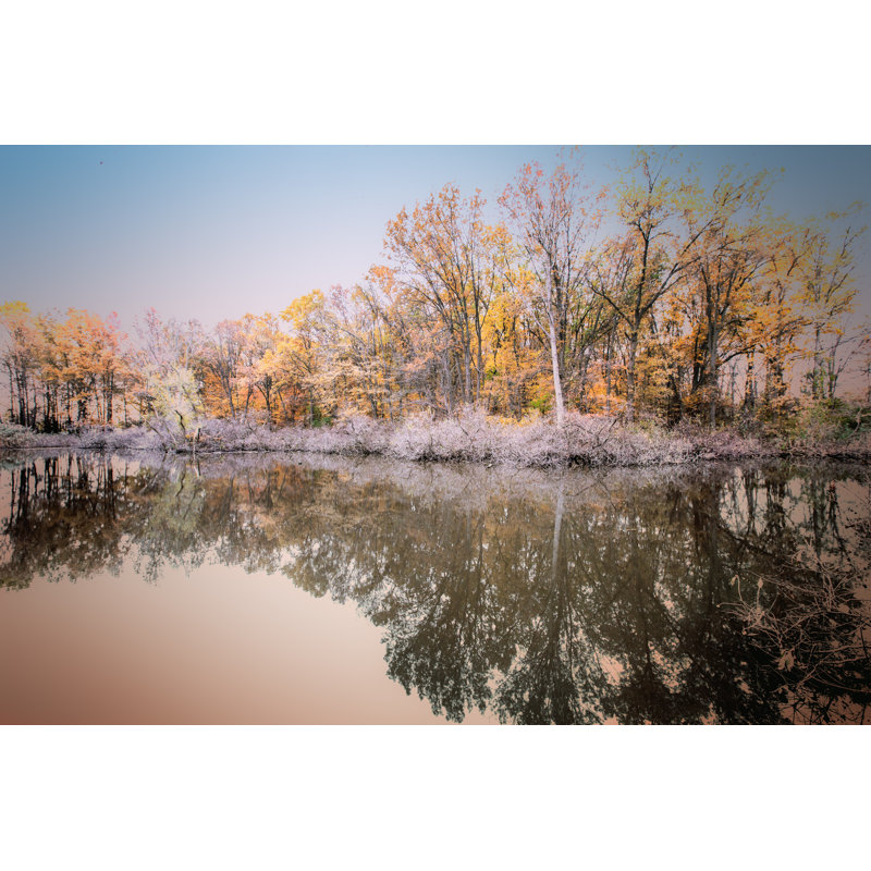 Autumn - Beauty In Nature - Wrapped Canvas Print, 51cm H x 76cm W