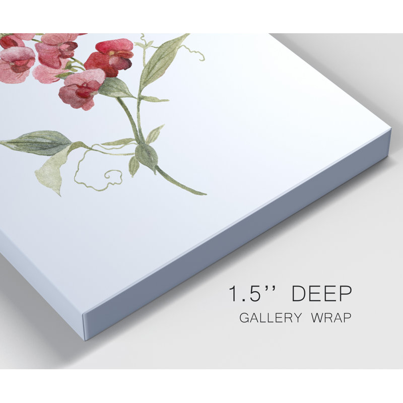 Scarlet Sweet Pea - impression sur toile tendue, H 27 po x l 18 po