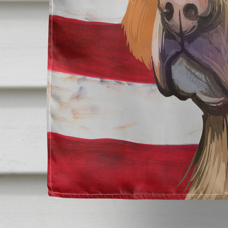 Polyester à 2 côtés 28 x 40 po drapeau maison, Pointeur portugais