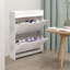 Armoire de rangement pour chaussures 6 paires