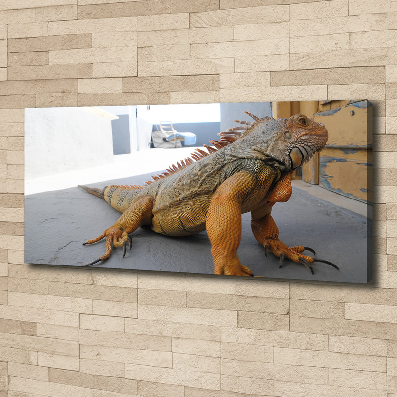 Iguana - No Frame Print on Canvas