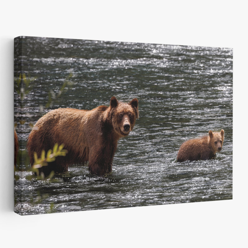 Crossing - Animals Bear Brown Cubs Art, 16" H x 24" W