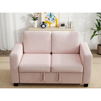 54'' Small Loveseat Pull-Out Sofa Bed