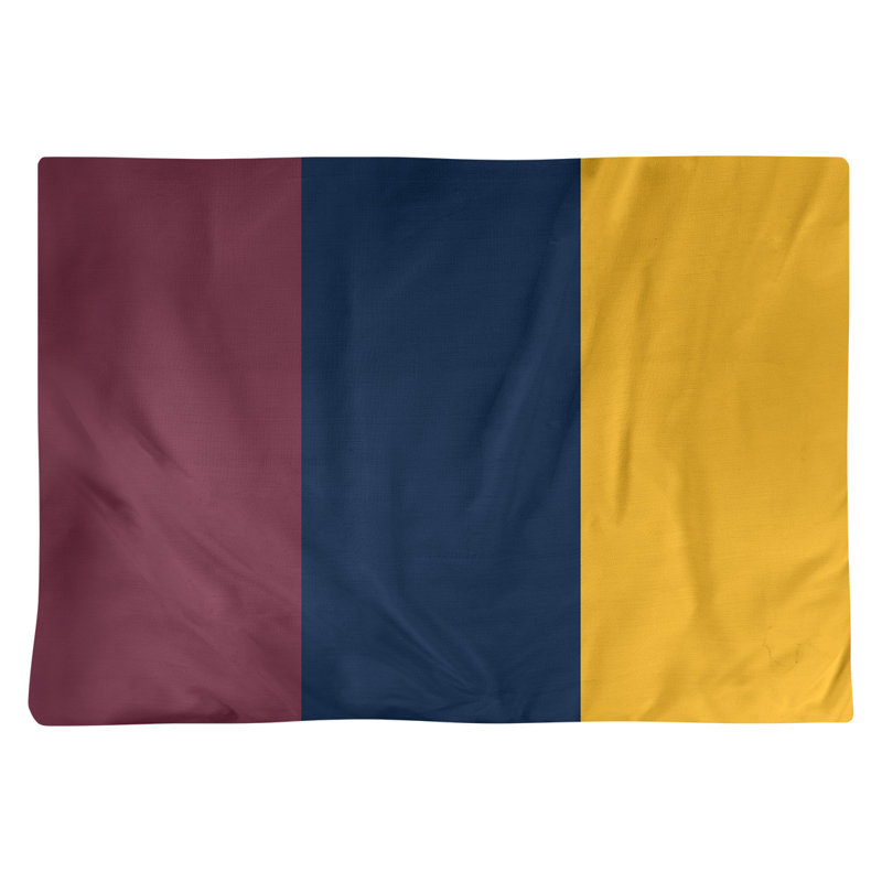 Récapitulatif 18" basket Cleveland, Vin / bleu marine / doré, Sergé de coton