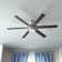 Kaliza 56'' Ceiling Fan with LED Lights and Remote Included