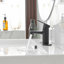 Robinet de salle de bain monocommande à petite arche