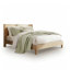 Ensemble de courtepointe 100% coton 3 pièces Botanical Leaves Sage-125545999-125545998