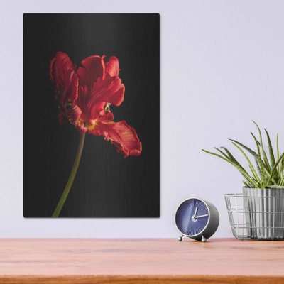 " Rippled Red Beauty " by Leah McLean