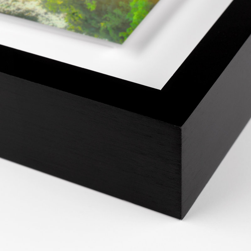 Trees Get Thirsty Too Print by Shawn Thomas, Black, 30" H x 48" W x 2.5" D