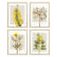 Fleurs encadrées, ensemble de 4 impressions géométriques murales carrées jaunes encadrées sur papier, impression de 4 pièces-93012716-93012718