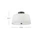 Caper 2 Light Flush Mount
