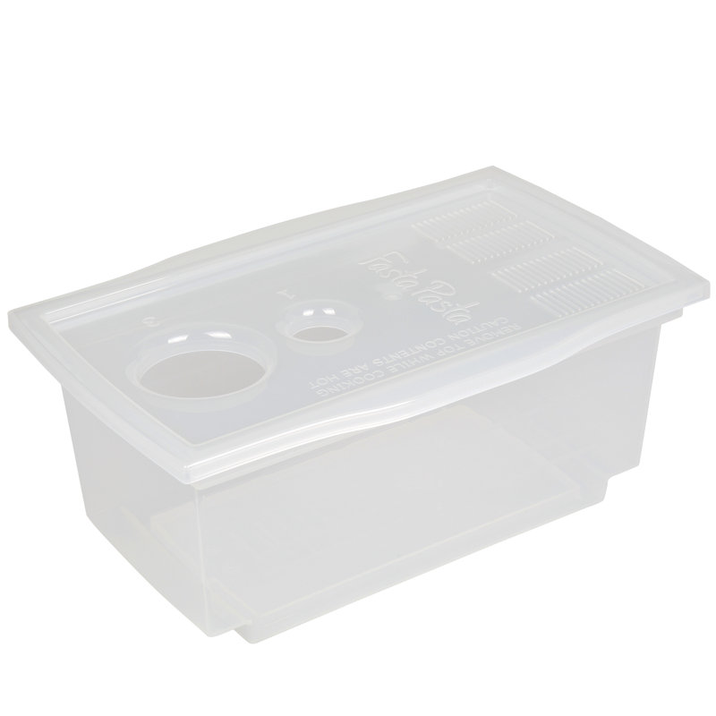 Fasta Pasta, Clear