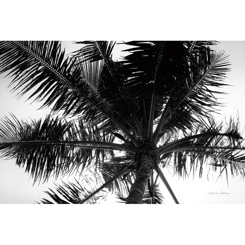 «Palm Tree Look Up III» par Debra Van Swearingen - reproduction de photo sur toile, H 20 po x l 30 po x P 1,25 po
