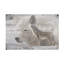 Art sur toile, loup arctique 2, Bolic Gordon Semmens-104109803
