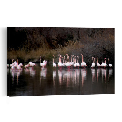 Flamingos In Still Water Peaceful Serene Tranquil Bird Flamingo Nature Wildlife Wall Art Print by Anna Cseresnjes - Print
