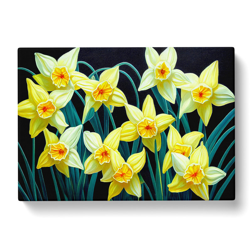 Angelical Daffodil Flowers - Wrapped Canvas, 35cm H x 50cm W x 3cm D