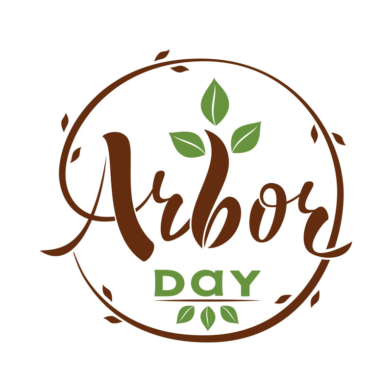 National Arbor Day - Wrapped Canvas Print, 30cm H x 30cm W x 3.8 cm D