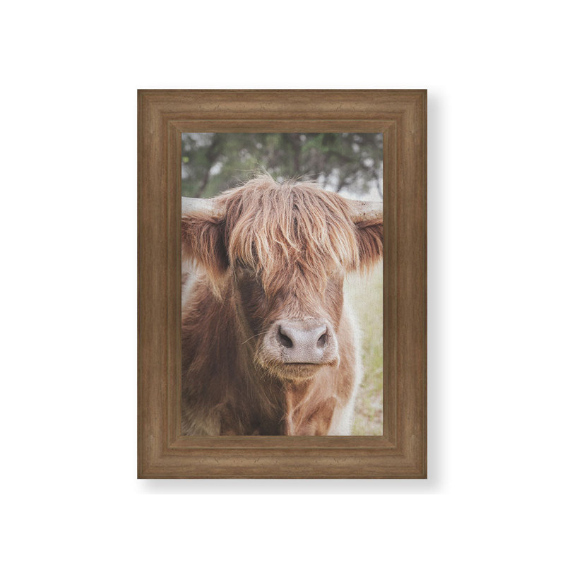 Highland Portrait par Kelly Wade. Impression sur papier - Montée et encadrée, H 44 po x l 64 po