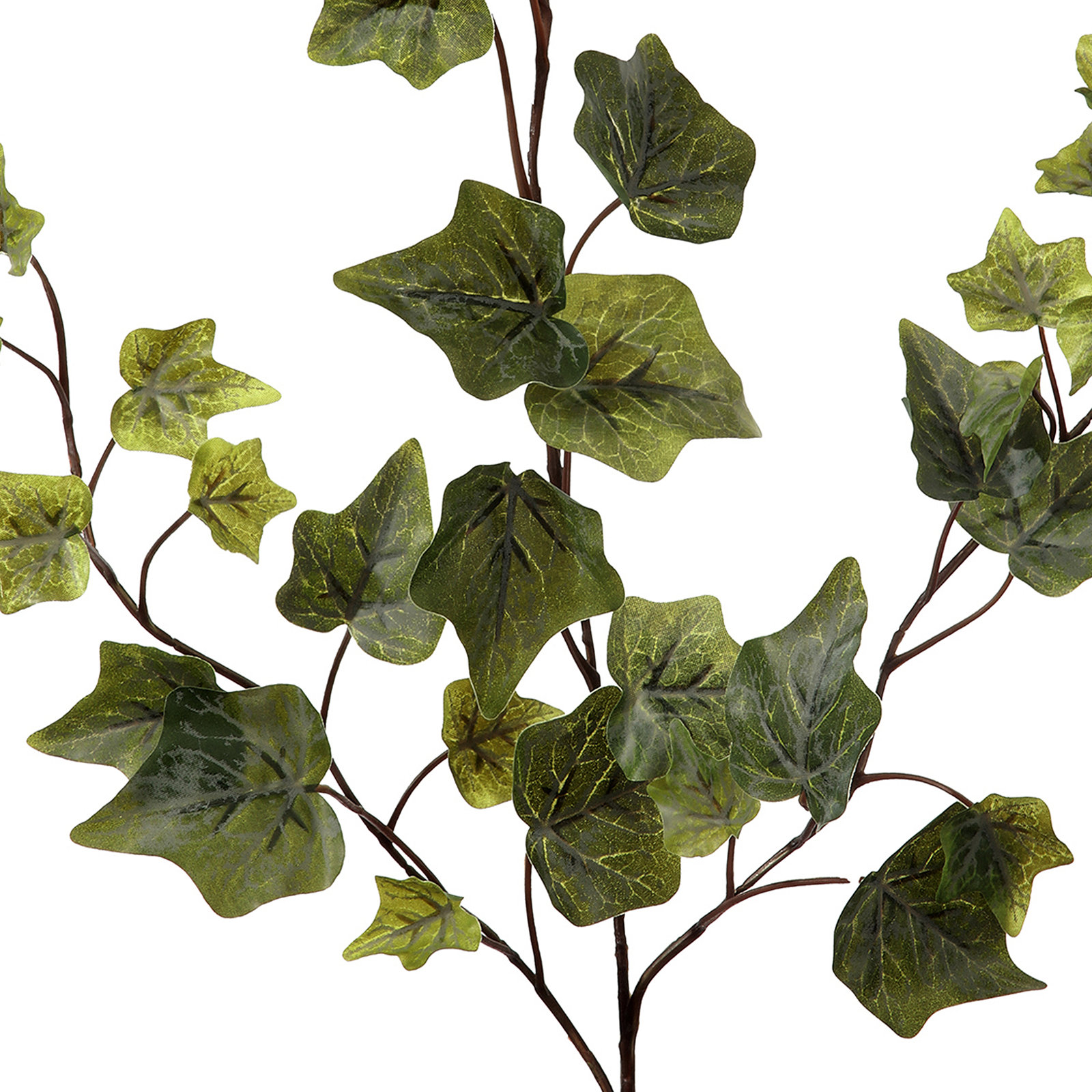 26" Frost English Ivy Spray