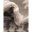 Floral Area Rug-1344149886